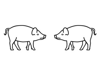 Two aggressive pigs or wild boars facing each other. Animals sketch, art, drawing, silhouette or shape isolated on white background.