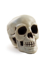 A human skull on a white background.