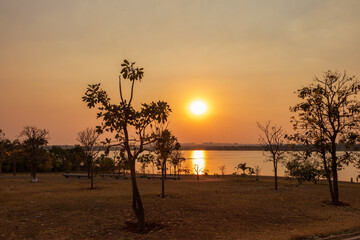 Fototapeta na wymiar Pôr do sol entre árvores sobre o lago em Brasília, Brasil.