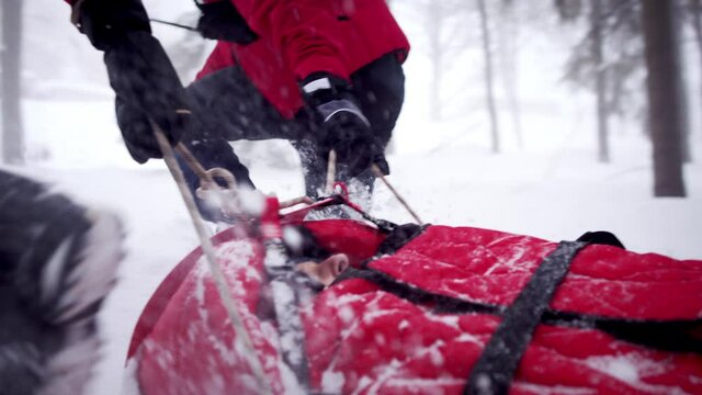 Mountain rescue service provide operation outdoors in winter in forest, pulling injured person in stretcher.
