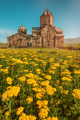 Hovhannavank monastery and church exterior and yellow tansy flowers. Travel and religious destinations and attractions of Armenia
