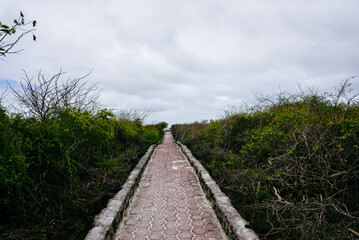 path to the sky