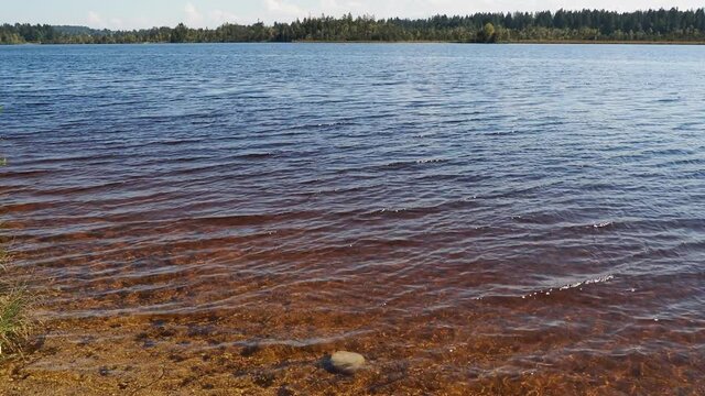 Kirchsee, moor lake by Sachsenkam in Upper Bavaria Germany with view over clean dark water