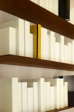 Livres blancs. Biblioth&egrave;que