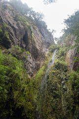 Fototapeta premium Small waterfall in middle of south american rain forest with big old stones at midday