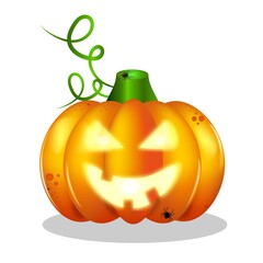 Halloween pumpkin with spider. Orange pumpkin with white background. Halloween holiday. Halloween icon