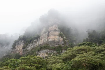 Foto op Canvas A beautiful high white cliff in middle of a dense fog with green trees at colombian Chicaque natural park  © Alejandro Bernal