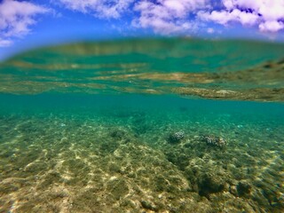 Ocean floor with blue sky above while snorkelling 