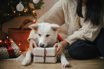 Stylish woman and adorable dog holding christmas gift under christmas tree with lights. Cute dog with wrapped present sitting with owner in festive scandinavian room. Pet and winter holidays - obrazy, fototapety, plakaty
