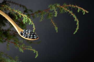 Wooden spoon with seeds of juniper.