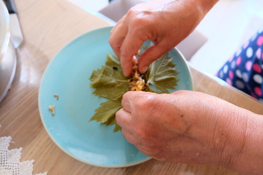 Process of making stuffed grape leaves with olive oil, selective focus. It is called "Yaprak Sarma", or "Dolma", "Salamura Yaprak" in Turkish. It is prepared with ground beef, rice and tomato paste.