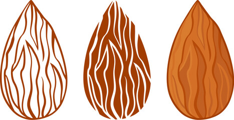 Almond silhouettes vector icon, whole nuts seeds set, line and flat design isolated on white background. Food illustration