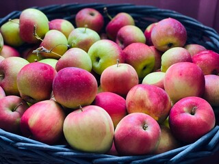 Red Apples Florina fruits also called Querina is French cultivar of domesticated apple that has combined traits of Jonathan, Golden Delicious and Rome apples and was developed in Angers France.