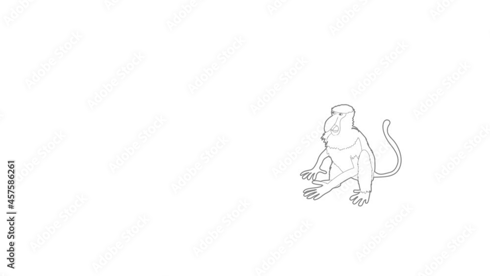 Poster nasalis monkey icon animation best outline object on white background