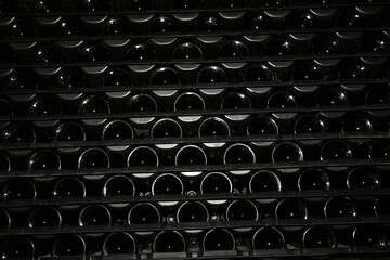 Uvas, vi&ntilde;edos, vendimia