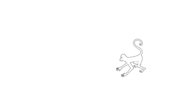 Playful monkey icon animation best outline object on white background