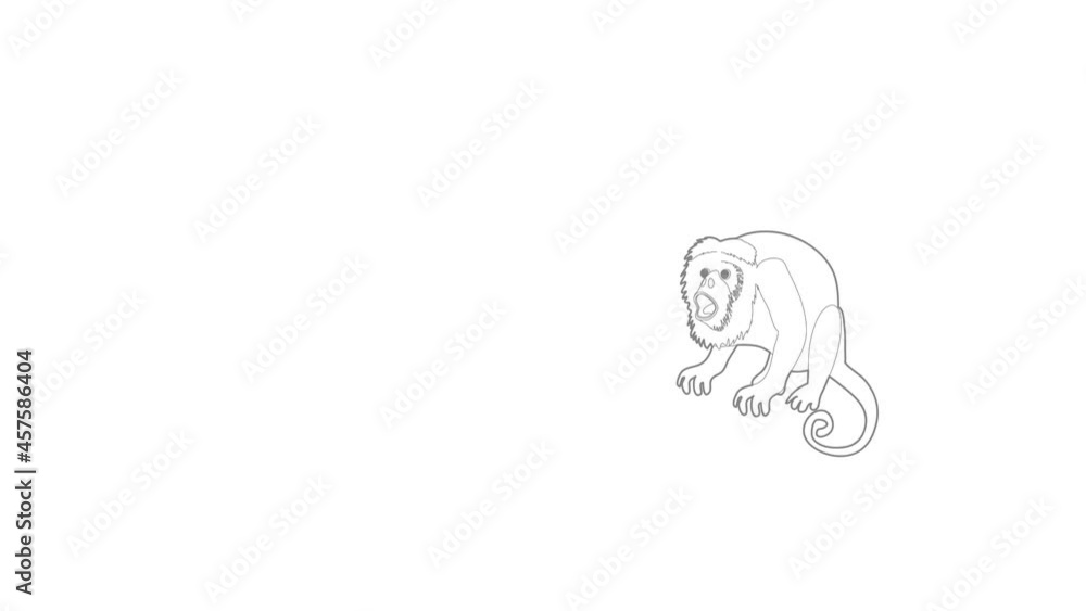 Poster surprised monkey icon animation best outline object on white background