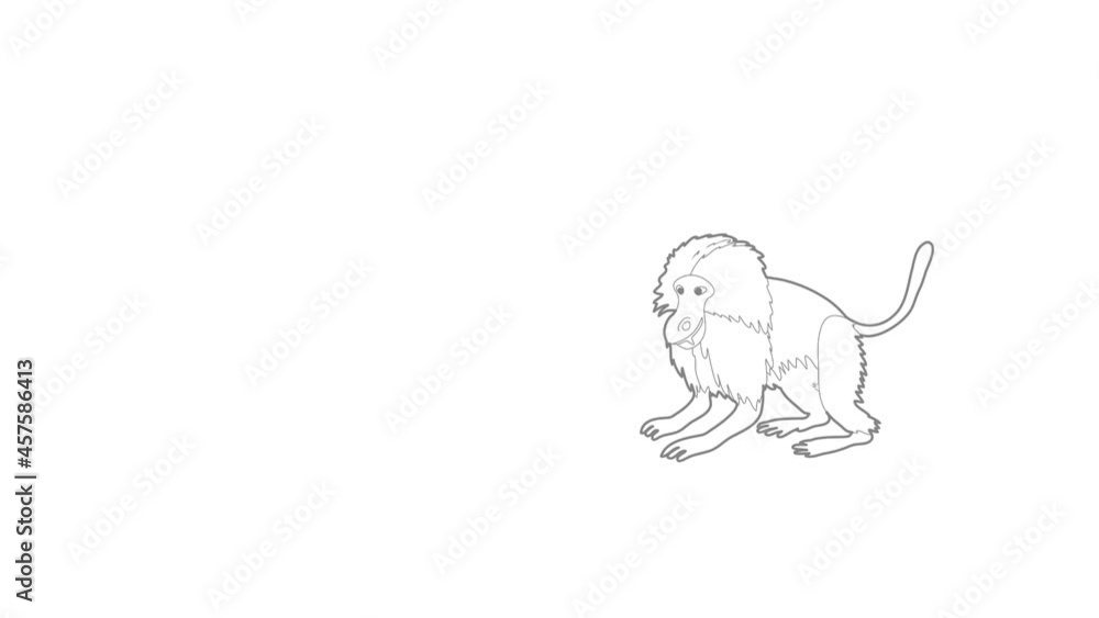 Poster gelada monkey icon animation best outline object on white background