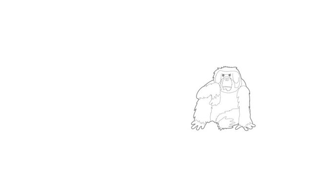 Orangutan icon animation best outline object on white background