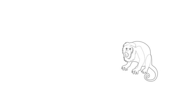 Surprised monkey icon animation best outline object on white background