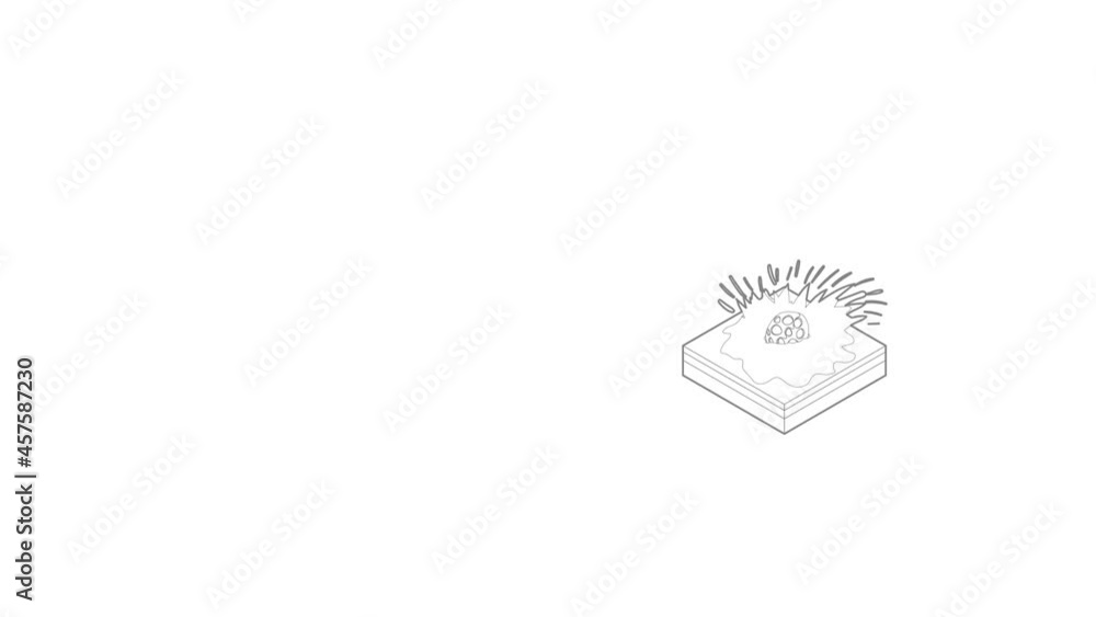 Poster meteor falling icon animation best outline object on white background