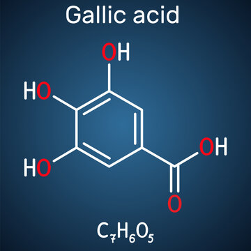 Gallic acid, trihydroxybenzoic acid molecule, is phenolic acid, found in gallnuts, sumac, witch hazel, tea leaves and oak bark. Skeletal chemical formula on the dark blue background