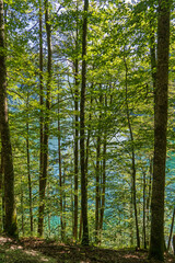 Malerwinkel - Rundwanderweg am Königssee