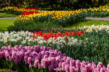 Colorful garden landscape and grassy lawn