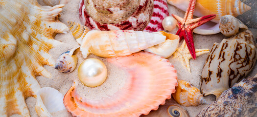 Starfish and seashells at the beach.  Beach Summer Vacation Background