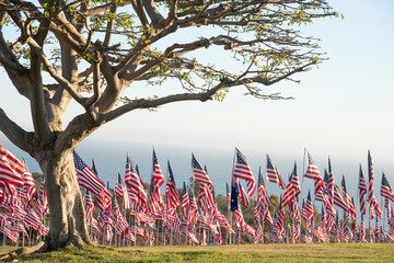 American Flags near Pacific Ocean