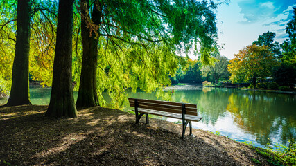 Wooden bench in the city park © EwaStudio