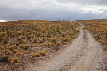 Naklejka premium Desert Road in amazing landscape