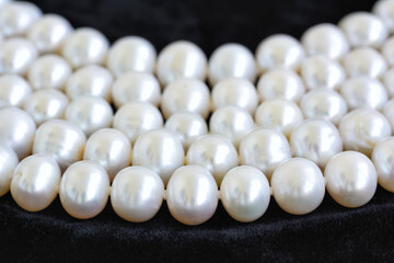 Five rows of natural pale pearl necklace on a black velvet background, macro