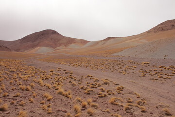 Desert Road in amazing landscape