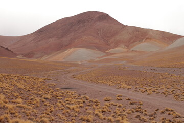Desert Road in amazing landscape