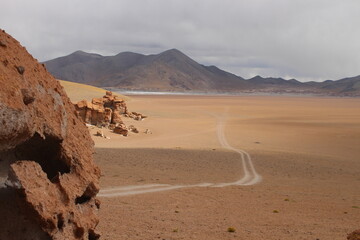 Desert Road in amazing landscape