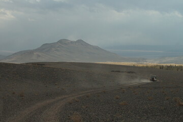 Desert Road in amazing landscape