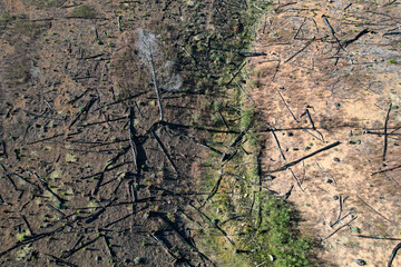 Drone images of the beautiful Hogsback forests, as to where forestry. takes place