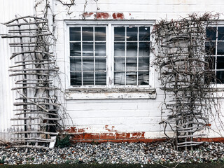 old arbors on metal exterior wall