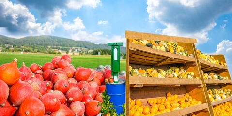 Pumpkins at the farmers' market in Germany.