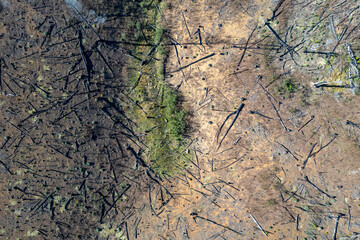 Drone images of the beautiful Hogsback forests, as to where forestry. takes place