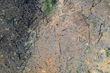 Drone images of the beautiful Hogsback forests, as to where forestry. takes place