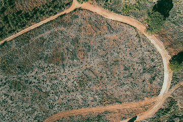 Drone images of the beautiful Hogsback forests, as to where forestry. takes place