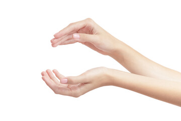 beautiful female hand on a white background gesture