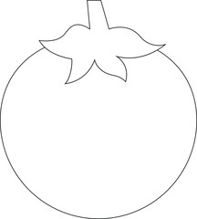 fruitsvegetable tomato and organic