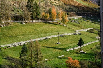 Rajnochovice. Sheep pens by the forest in autumn. East Moravia. Czechia. Europe. 