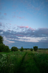 gentle and beautiful sunrise in the field in summer