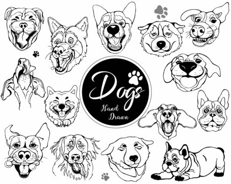 Set of hand drawn sketch style dog faces isolated on white background. Vector illustration.