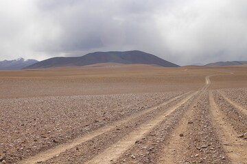 desert road in an amazing landscape