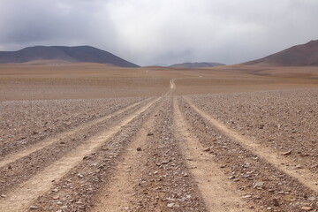 desert road in an amazing landscape